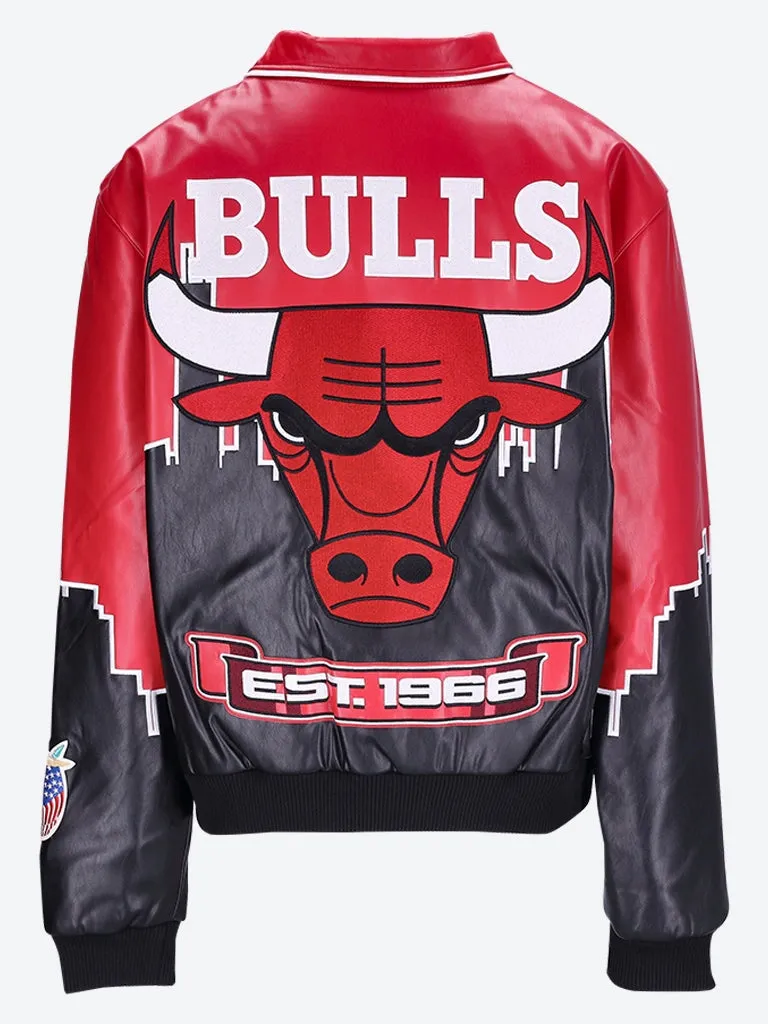 Skyline chicago bulls jacket